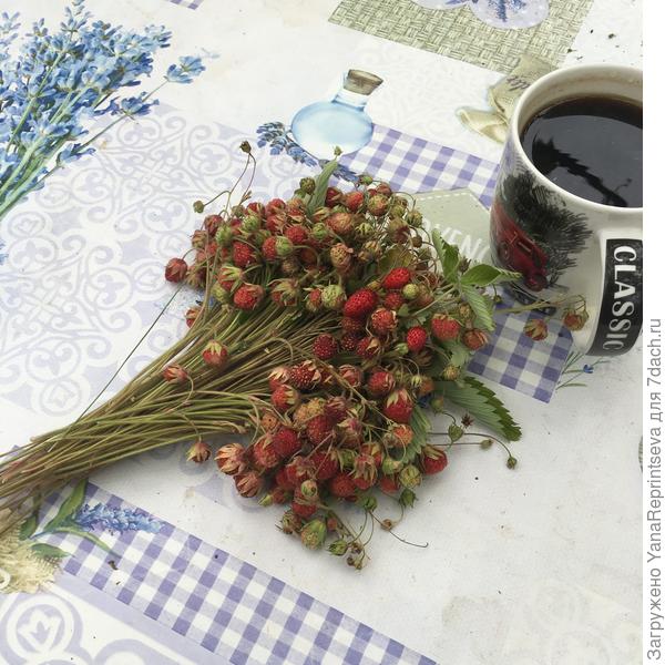 Самая вкусная ягода на свете!