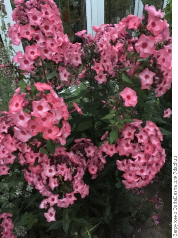 Уральские сказы