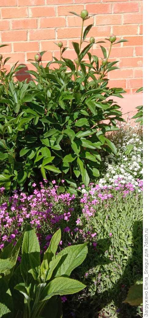 2 год конец мая