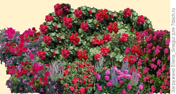 Моя задумка-мечталка