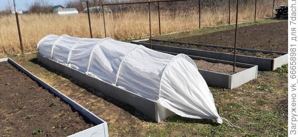 Весна 2021 года - только 4 грядки