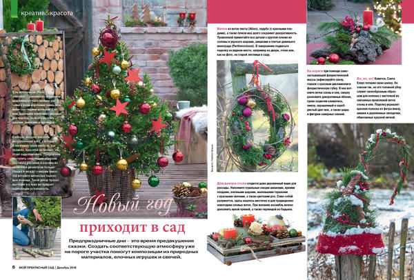 Новый год приходит в сад