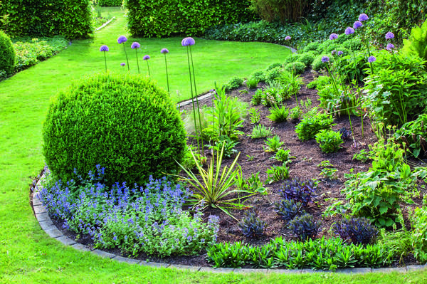 Без цветников дачная жизнь невозможна!