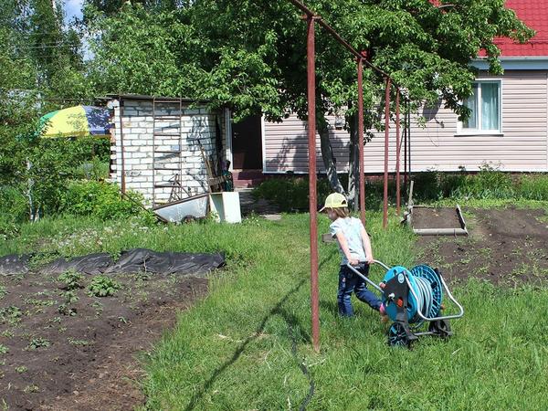 С передвижением тележки со шлангом справляется даже ребенок. Фото Светланы Зениной