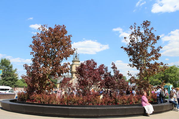 Сад у метро Краснопресненская