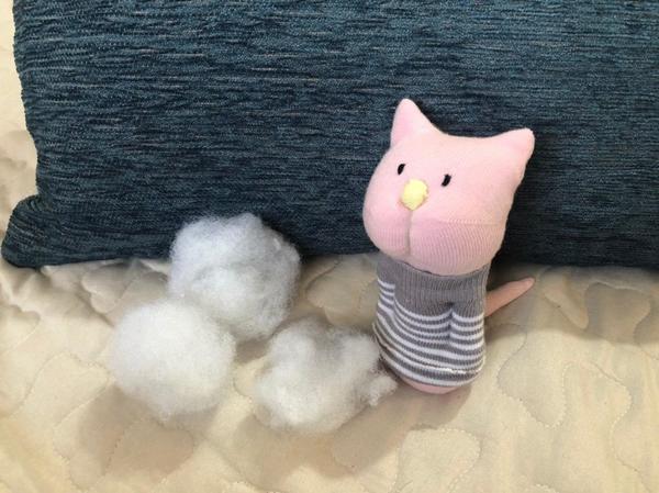 Котик готов