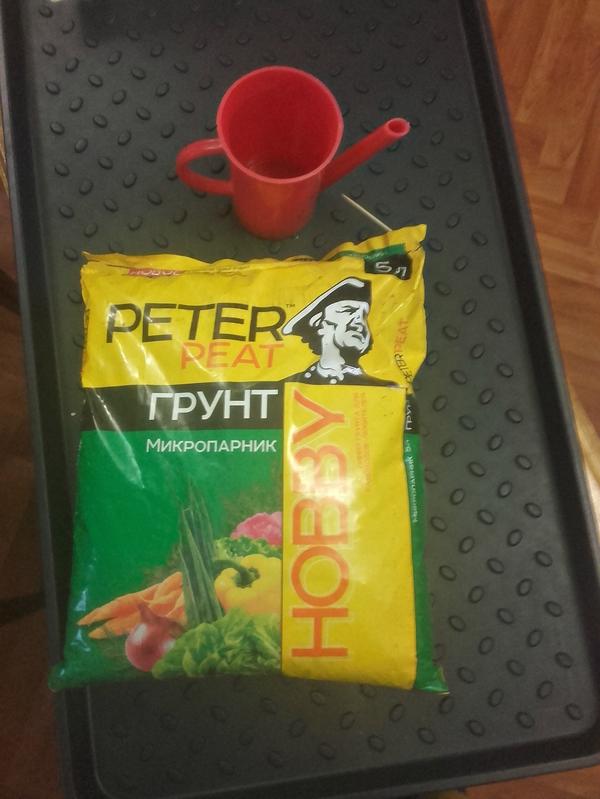 Грунт