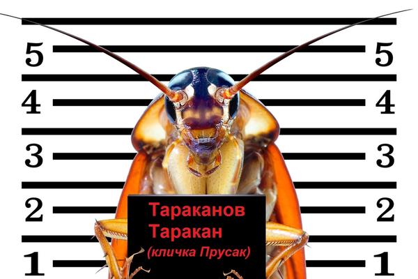 Ну кто его не знает?