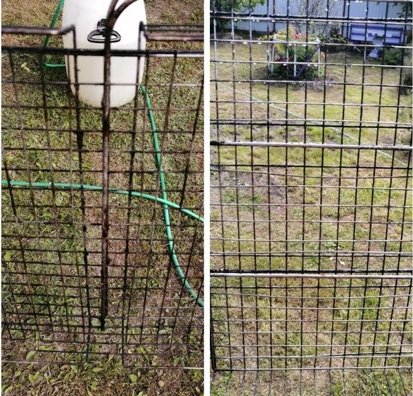 Результат пяти минут работы