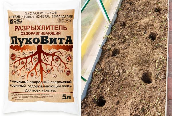 Оздоровляющий разрыхлитель ПухоВитА вносят в посадочные лунки