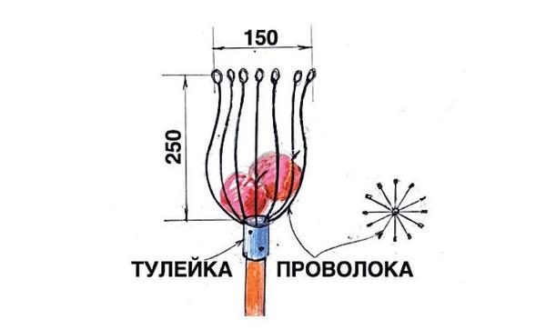 Плодосборник из шеста и проволочных стержней. Рисунок Виктора Страшнова