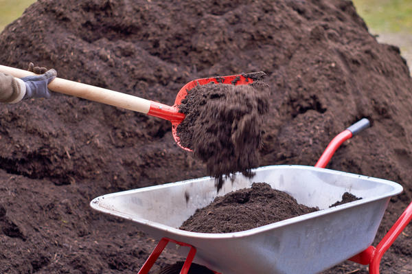 Добавление компоста позволяет уменьшить количество вносимых под перекопку органических удобрений