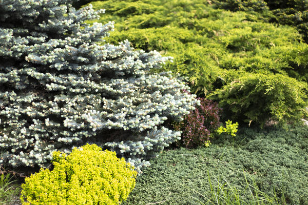 Разные оттенки зелени хорошо монтируются друг с другом, но здесь тоже важно, чтобы мазки были крупными