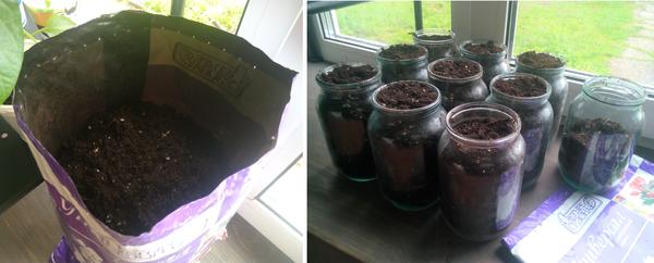 Объем грунта проверяю с помощью литровых банок