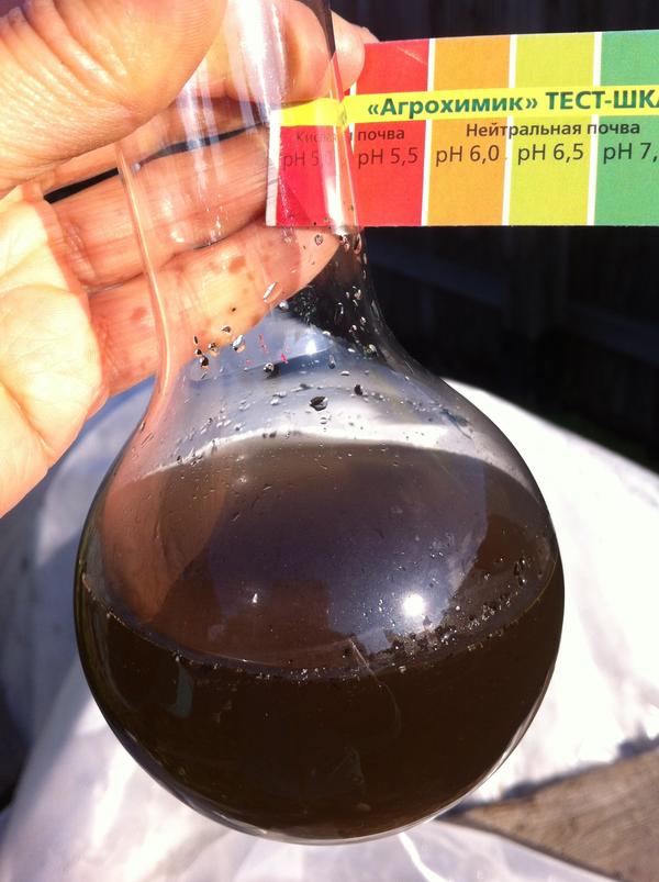 Так выглядит окраска почвенной вытяжки (после добавления реагента из тест-системы) на солнце