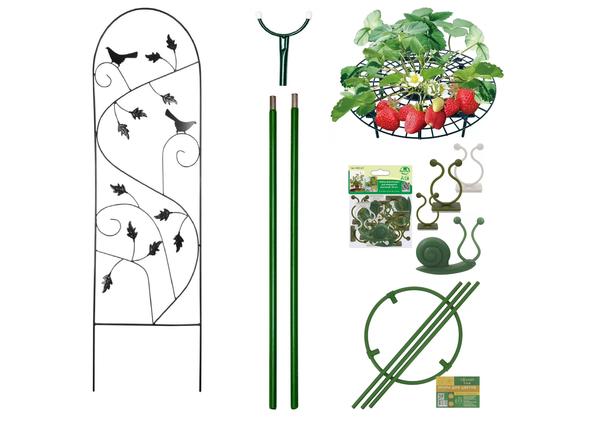 Ажурная шпалера точно понадобится клематису, надежная опора - плодовитым ветвям яблони, сетчатый круг защитит от гнили ягоды земляники, прочный обруч поддержит пышные соцветия флокса, а фиксаторы побегов пригодятся большинству растений