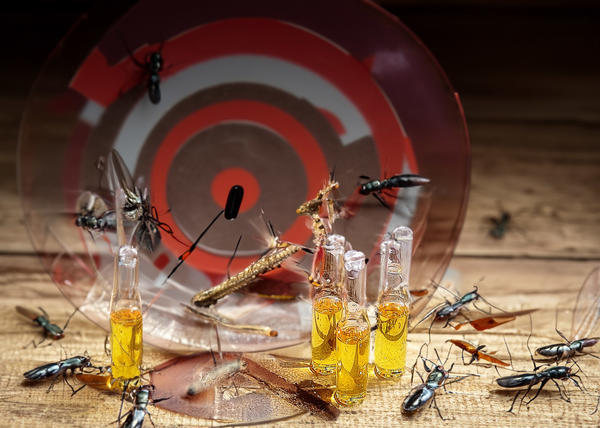 Залп эффективен против всех кровососущих насекомых