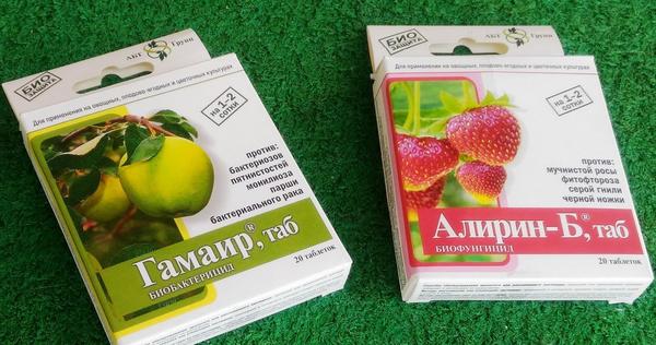 Алирин-Б и Гамаир применяют для предпосадочной или предпосевной обработки, полива и опрыскивания растений