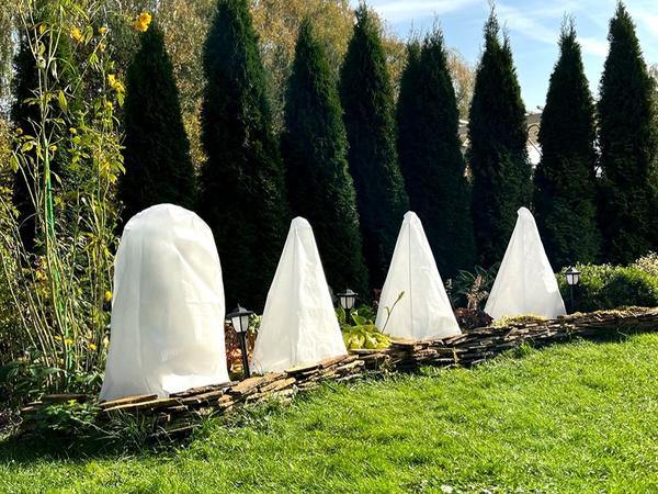 Для садовых неженок, растущих поодиночке, удобным и простым решением станет готовый Зимний домик