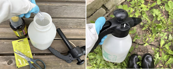 Раствор препарата готовлю прямо в опрыскивателе. Опрыскиваю сорняки осторожно, чтобы не попасть на культурные растения