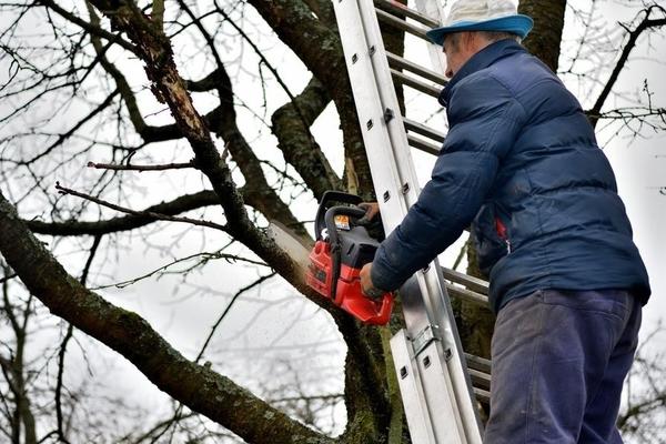 При работе с цепной пилой важно делать спил правильно
