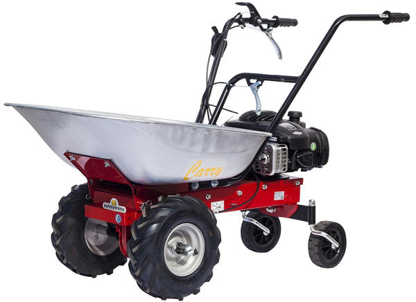 Универсальная бензиновая тележка Eurosystems CARRY B&S Series 450. Фото с сайта ryvok.ru