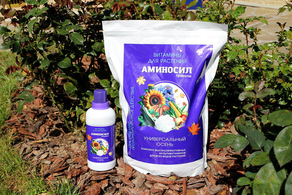 Комплекс Аминосил для подкормки растений осенью