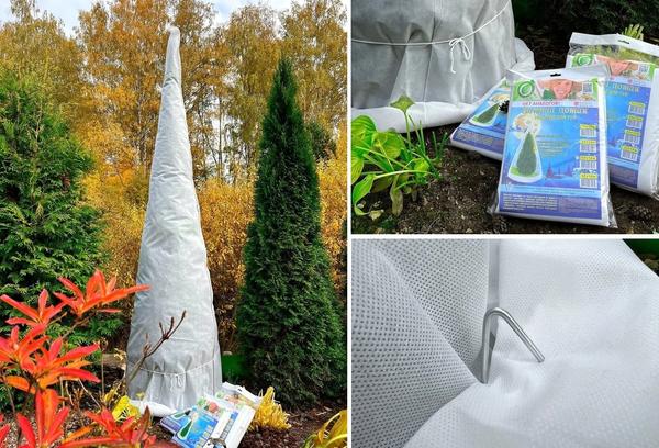 "Зимние домики" для туи - эффективное и профессиональное укрытие для хвойных растений. Выручит, даже если немного опаздываете со сроками