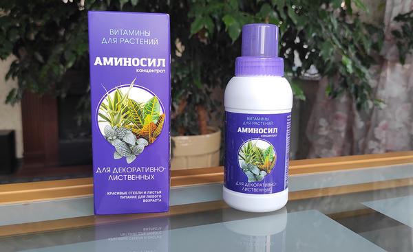 Для быстрой поддержки комнатных растений применяют концентрат Аминосил для декоративно-лиственных
