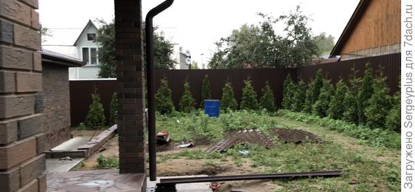 Смысл такой посадки по периметру-закрыться от соседских избушек