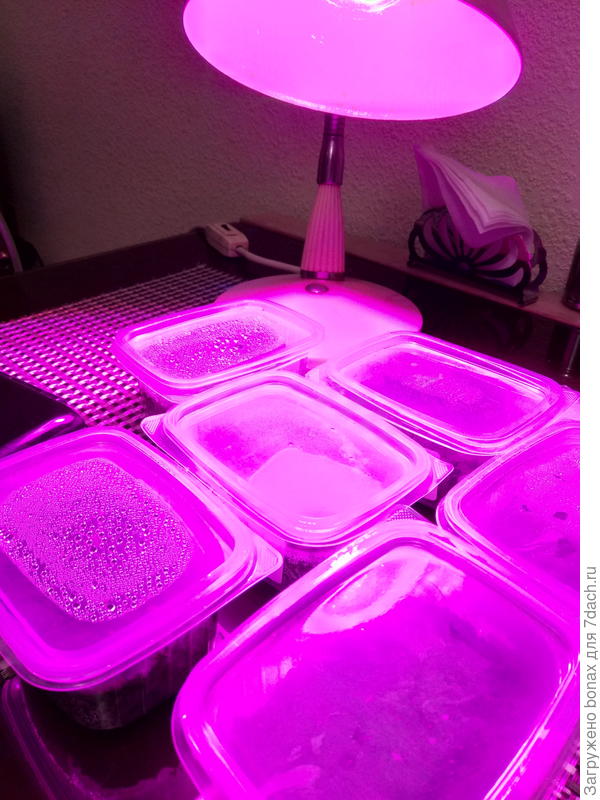 пока как-то так