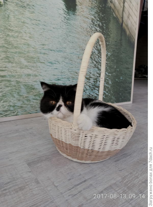 а мы тоже корзиночки обожаем