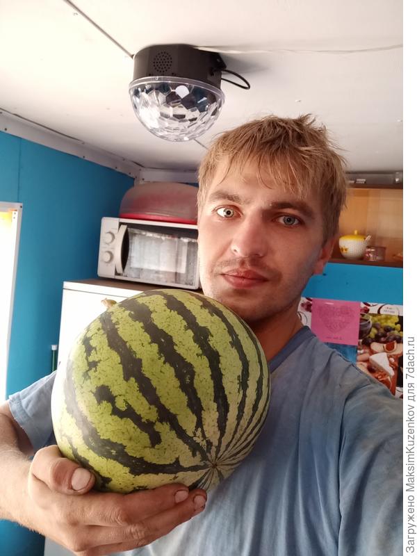 Вот такой вырос) около 5 кг. Сорт не помню.. Петропавловск, Казахстан. Климат такой же, как в Омске