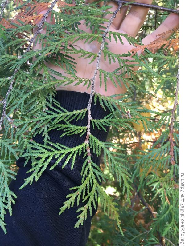 Продолжение