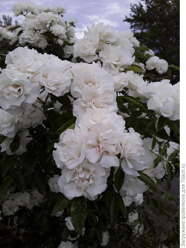 фото 3