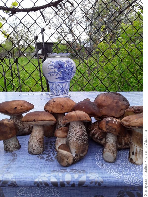 Вот такой вот май месяц!