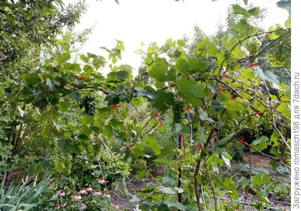 Примерно что нужно было убрать