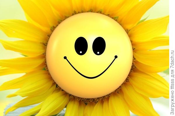 УДАЧА проверенный сорт, не знаю как для вашей зоны, а для Нечерноземья хорош!