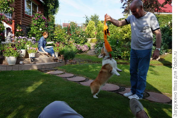 Любимые развлечения