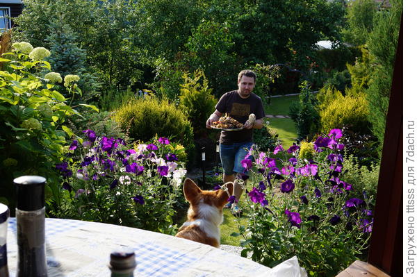 А вот и плов...