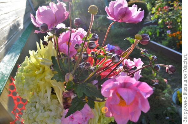 Для соседского первоклассника