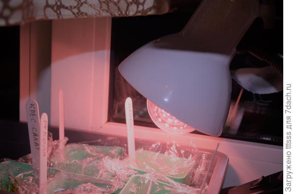 Подсветка фитолампой