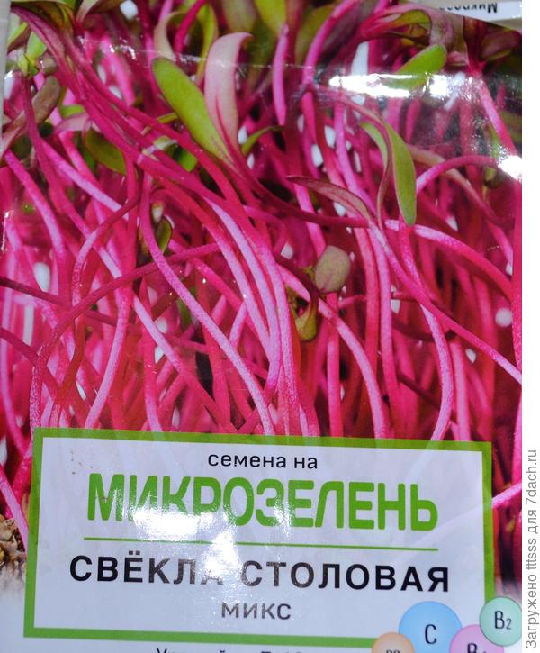 Семена микрозелени Свёкла