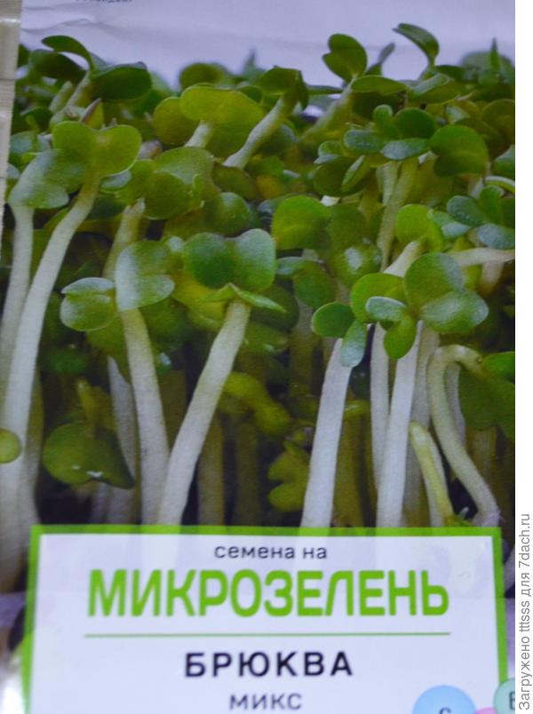 Семена брюквы