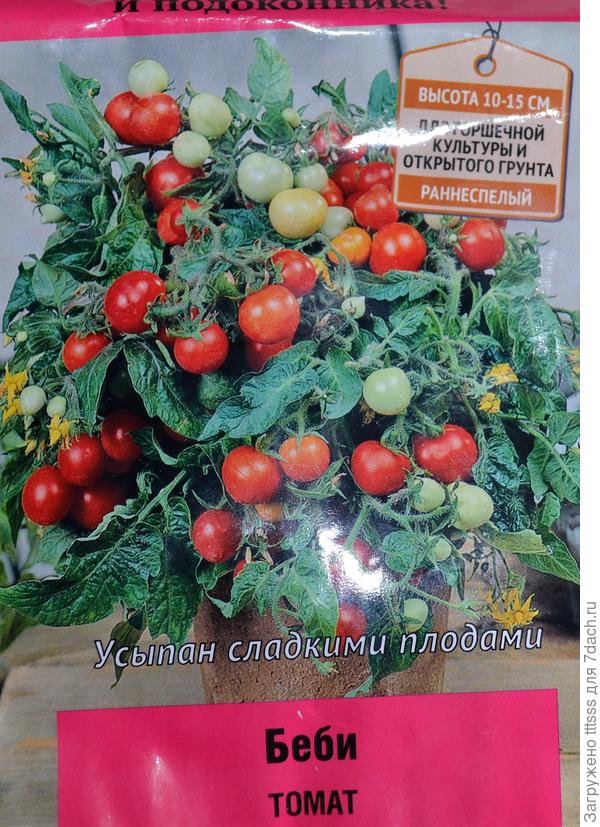 Томат Беби