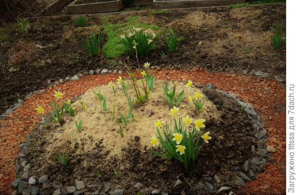 Круглая клумба