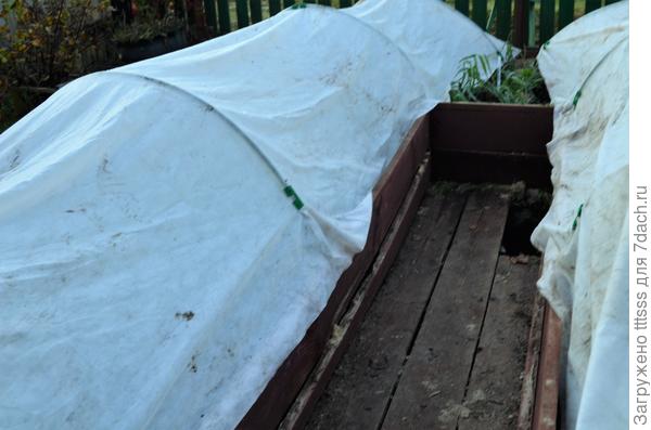 Укрываю грядку с клубникой