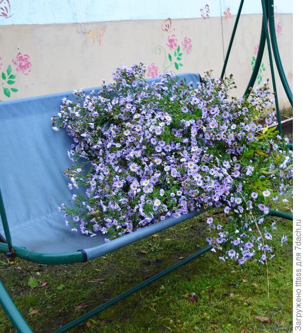 Последний букет