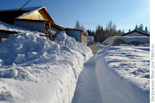 Зима - это сугробы до крыши