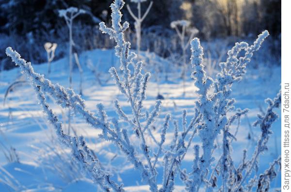 ... ну, очень красиво...
